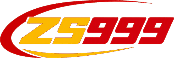 zs999